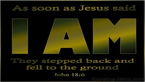 John 18:6 Jesus Said I Am And They All Fell Back (black)